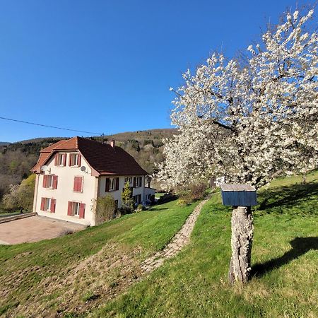 Domaine De La Charriere Sur 63 Ares - 8 Pers Grand Confort Villa Neuviller Exterior foto