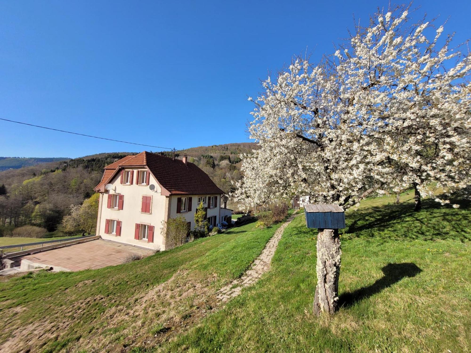 Domaine De La Charriere Sur 63 Ares - 8 Pers Grand Confort Villa Neuviller Exterior foto