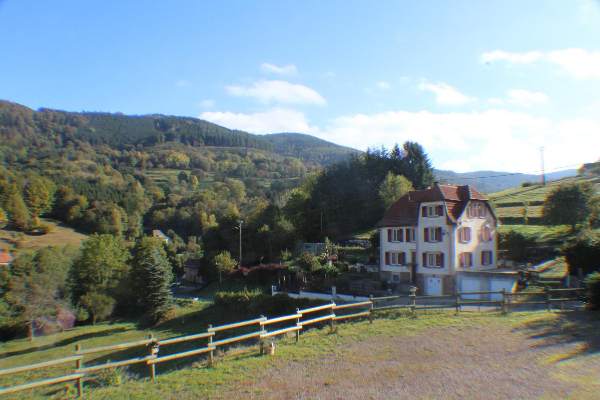 Domaine De La Charriere Sur 63 Ares - 8 Pers Grand Confort Villa Neuviller Exterior foto